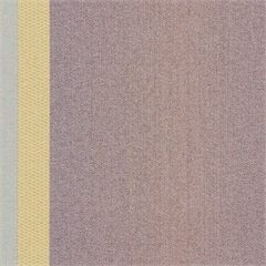 Cityscape Privacy Curtain Fabrics